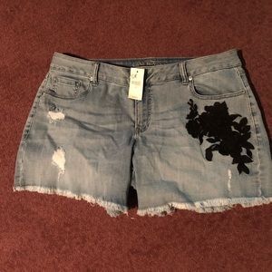 Lane Bryant shorts. Still has tag on them. Size 16